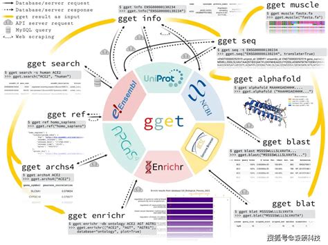 ggbet com|GGET.